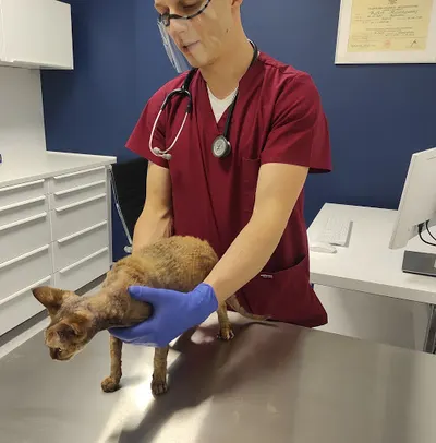 VetCenter Przychodnia Weterynaryjna | Weterynarz Lublin